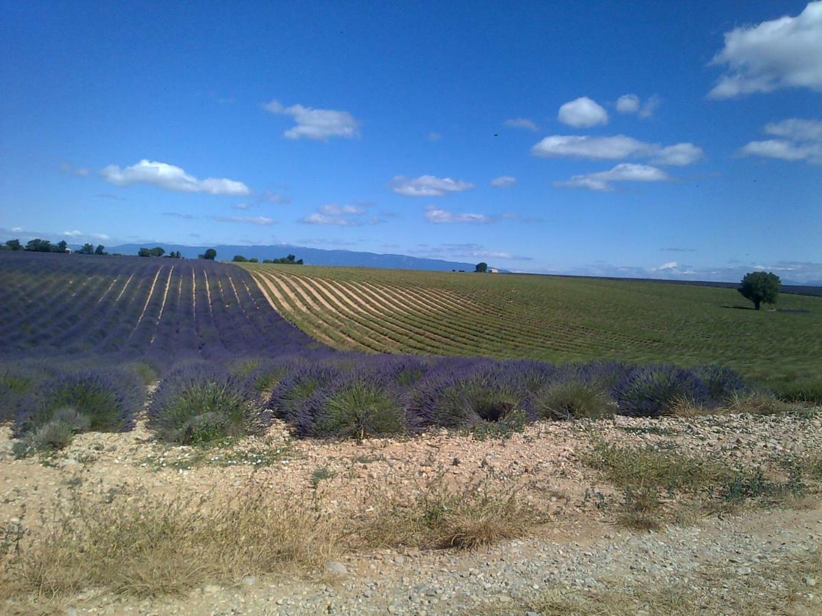 Maison D'Hotes Du Grand Chene Valensole Buitenkant foto