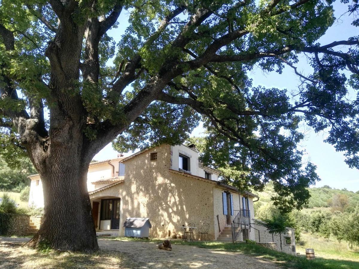 Maison D'Hotes Du Grand Chene Valensole Buitenkant foto