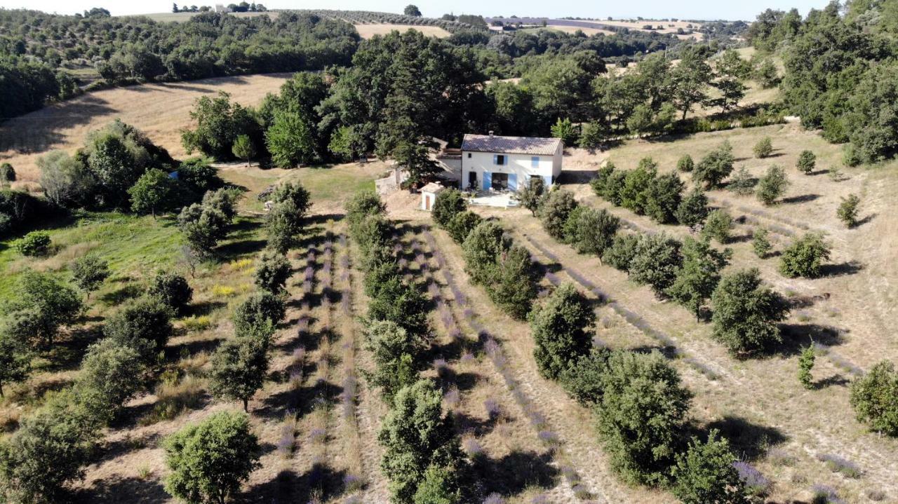 Maison D'Hotes Du Grand Chene Valensole Buitenkant foto