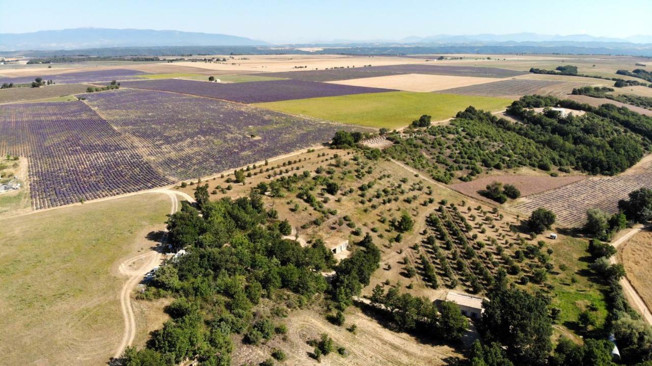 Maison D'Hotes Du Grand Chene Valensole Buitenkant foto